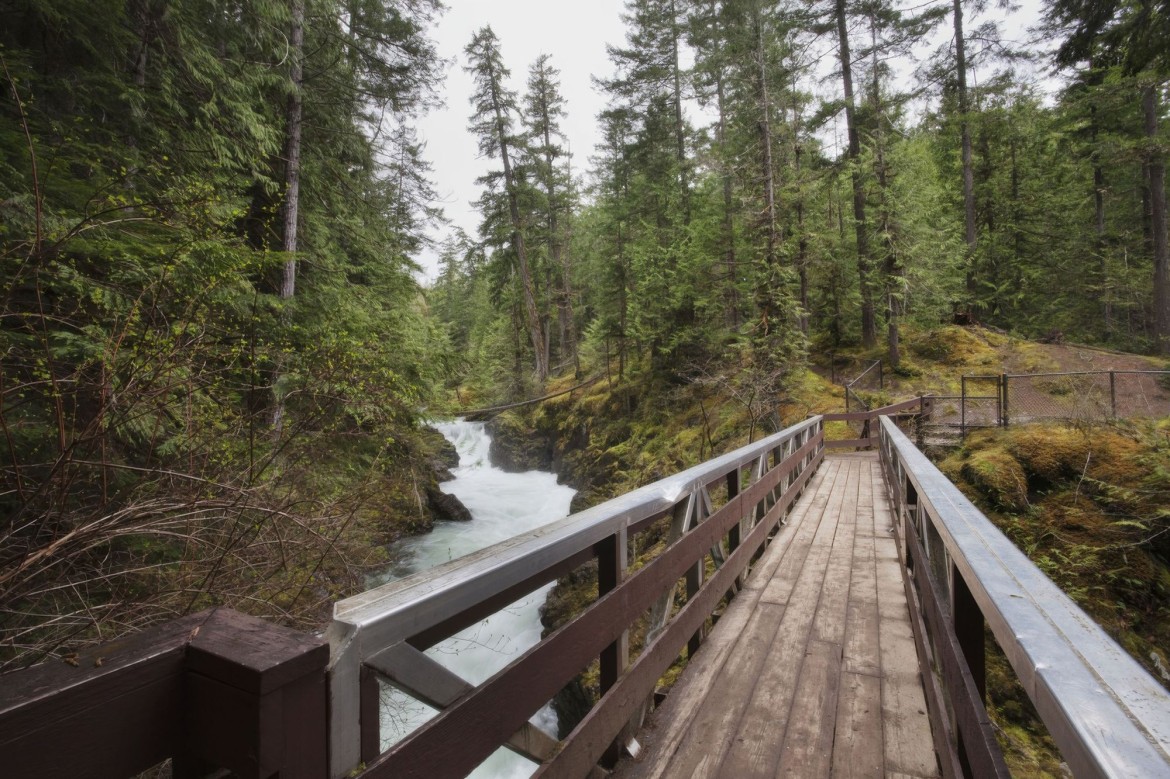 Hiking in Little Qualicum Falls park