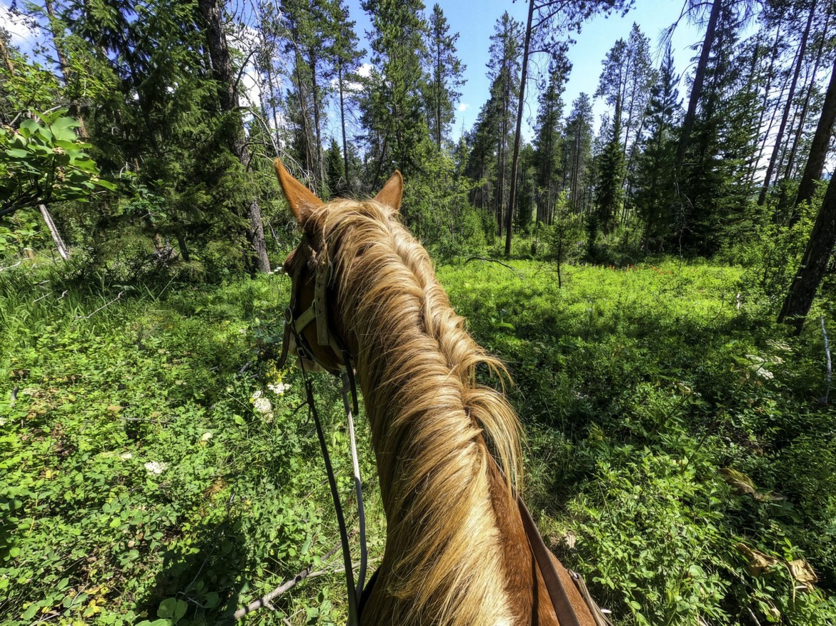 Horseback riding at the Paradise Acres Ranch