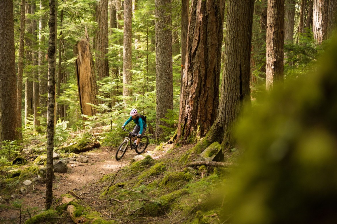 Mountain Biking in Parksville