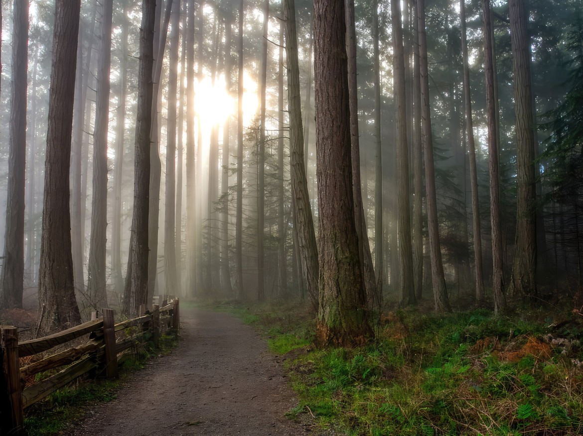 Rathtrevor Provincial Park