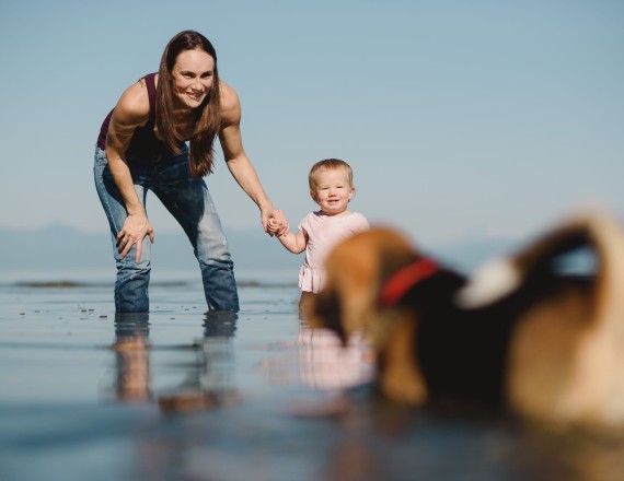 Pet friendly beaches